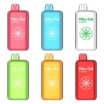 Pillow Talk IC40000 Ice Control Disposable Vape 20ml
